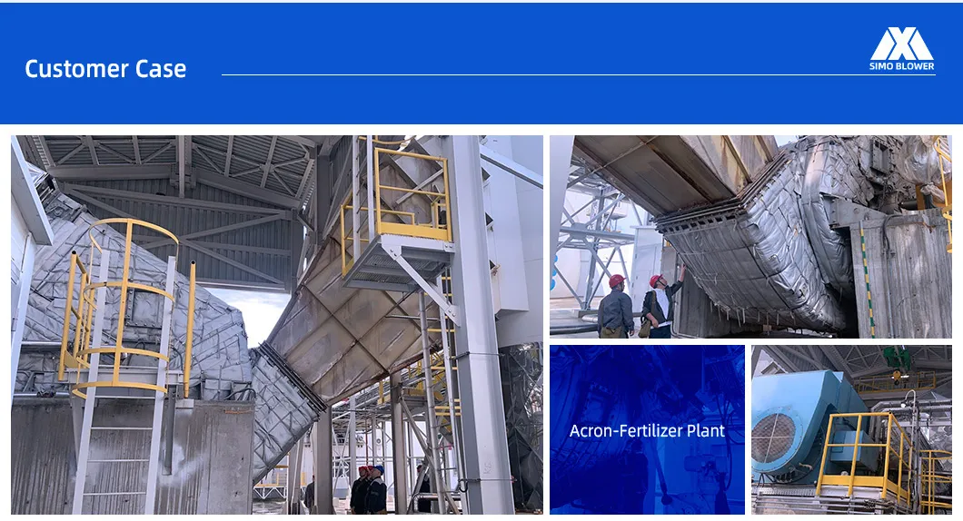 Ventilatore a tiraggio indotto centrifugo a pale avanti per caldaia 9